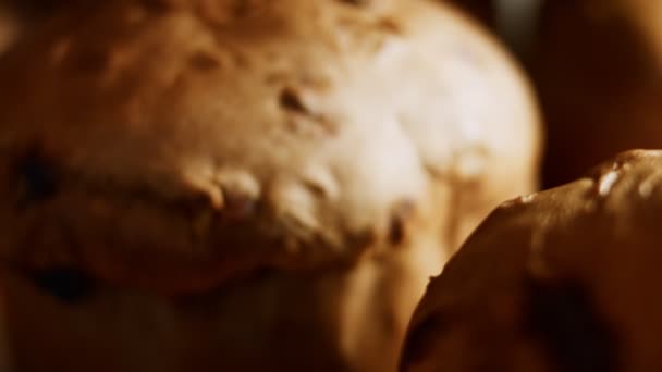 Traditioneel Italiaans paasbrood Panettone — Stockvideo