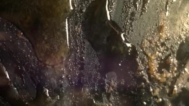 Вид на брудну піч для випічки на кухні. Брудний жирний лист для випічки після приготування м'яса в духовці. відео 4K — стокове відео