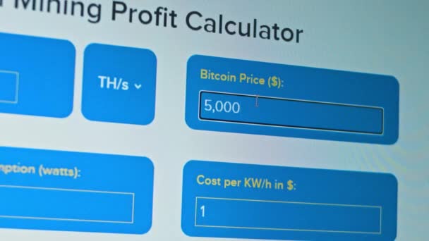 Bitcoin pertambangan kalkulator laba. Dompet tambang. Pendapatan per bulan. Pertambangan rig bekerja dan membuat uang — Stok Video