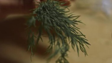 Rendelenmiş peynir ve dereotlu bir tabakta yengeç salatası. Yengeç salatası, peynir, salatalık, konserve mısır, mayonez ve yumurta evde mutfakta.