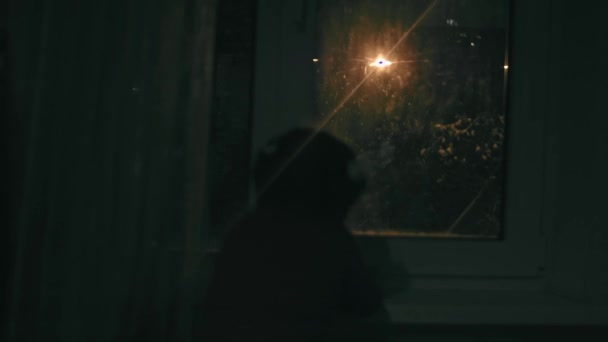 Vista trasera de una niña feliz mirando a la ventana al principio de la nieve por la noche. Se acerca el invierno. — Vídeo de stock