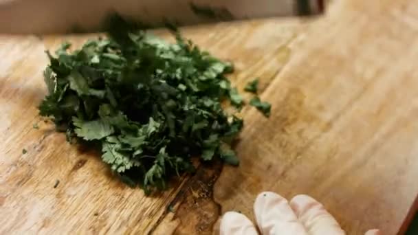 Köche hacken frischen Koriander auf einem Holzbrett. Prozess der Herstellung von Quesadillas. Zeitraffer — Stockvideo