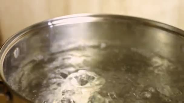 Versare un cucchiaio di sale in acqua bollente in una pentola. Processo di cottura patate arrosto perfetto forno — Video Stock