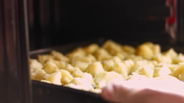 Samice wkładają do piekarnika patelnię z gotowanymi złotymi ziemniakami przyprawionymi olejem, solą i czarnym pieprzem. Proces gotowania doskonałe pieczone ziemniaki pieczone — Wideo stockowe