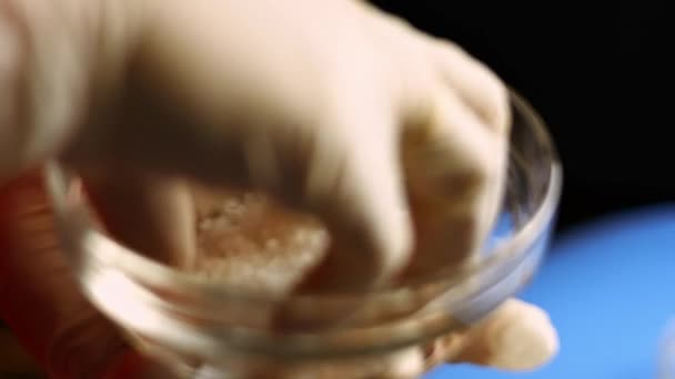 Ruku držící mořskou sůl ve skleněné misce pro ochucení čerstvého kuřete. Proces vaření shkmeruli - gruzínské jídlo. Zobrazení maker — Stock video
