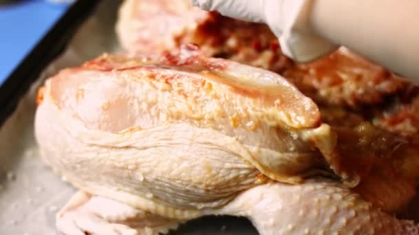 Köchin breitet Adjika auf einem Backblech über ein großes rohes Hühnchen mit Spatchcocks aus und macht sich bereit zum Kochen. Prozess des Kochens shkmeruli - georgisches Gericht — Stockvideo