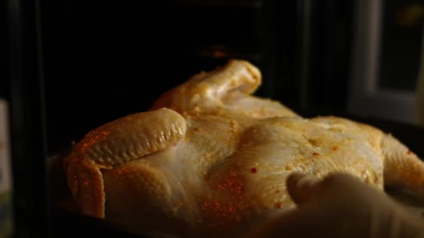 Female chef puts a baking tray with a seasoned big spatchcocked raw chicken in oven. Process of cooking shkmeruli - Georgian dish — Stock Video