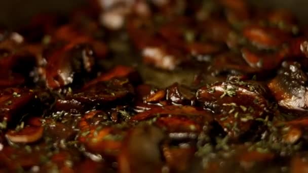 Antarctica Cuisine Secret. Sandwich aux champignons et au radis rouge. Recette 4k — Video