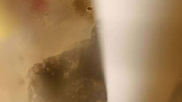 Antartide Cuisine Secret. Panino al patè di funghi con ravanello rosso. Ricetta 4k — Video Stock