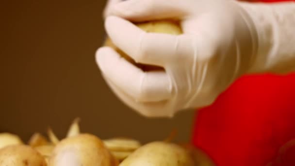 Cara membuat kentang tumbuk dengan Cheddar. Resep 4k. Ikuti 4 langkah mudah — Stok Video