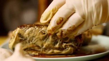 Dijon hardallı sığır filetosuyla yağlıyorum. 4k video Wellington bifteği