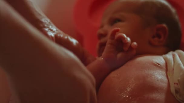 Neonato di sette giorni Bagnarsi nel bagno in acqua. 4k video entourage romantico. Belle emozioni — Video Stock