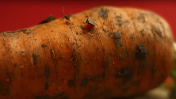 O cozinheiro descasca a cenoura em uma atmosfera muito agradável. 4k cinematografia receita de vídeo — Vídeo de Stock