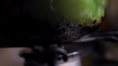 Ateşte kızarmış yeşil biber. Ceviz soslu Meksika Poblano Peppers 'ı hazırlıyorum. 4k video