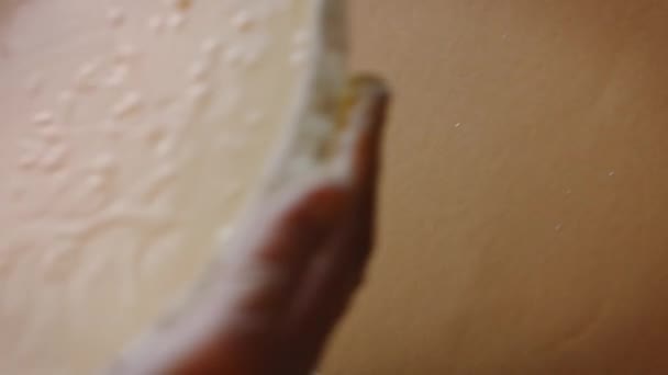 Giet de mix van cheesekake ingrediënten in de bakvorm. 4k video — Stockvideo