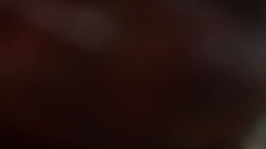 Sosisli ekmeğin üzerine BBQ Bruts sosu koydum. 4k ev yapımı video