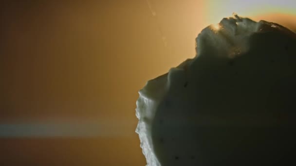 La jeune femme mange de la glace avec une cuillère. Bas 4k macro tir à travers le verre — Video