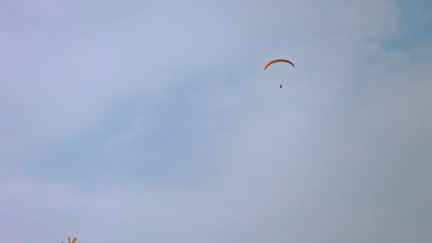 Achteraanzicht van een parachutist die rondcirkelt in de lucht met een vleugelparachute. Actie. Professionele lucht duiker trekken de sling om de parachute te controleren tijdens het vliegen op grijze bewolkte lucht achtergrond — Stockvideo