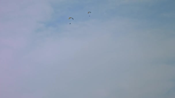 Rear view of a parachutist circling in the air with a wing parachute. Action. Professional sky diver pulling the sling to control the parachute while flying on grey cloudy sky background — Stock Video