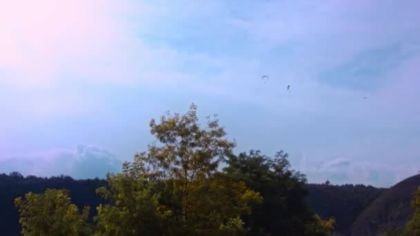 Zadní pohled na parašutistu kroužícího ve vzduchu s padákem křídla. Akce. Profesionální nebe potápěč tahání prak ovládat padák při letu na šedé oblačné obloze pozadí — Stock video