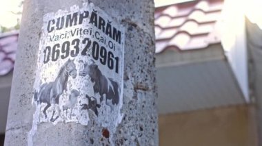 Direkte bir poster. 4k video