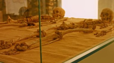 Müzedeki gerçek insan kafatası ve kemiklerine yakından bakın. Tarihi kazılar sırasında bulunmuştur. Vitrin camından görülüyor. Gerçek zamanlı 4k video kaydı