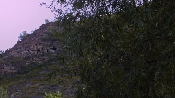 Kayada bir mağara kazıldı. Antik insanların evlerinin arkeolojik kazıları. 4k video yavaş çekim — Stok video