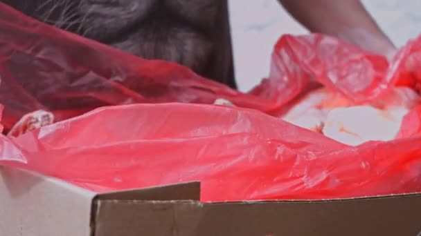 Arbetaren lägger lådan med fryst kött i bagageluckan. 4k-video — Stockvideo