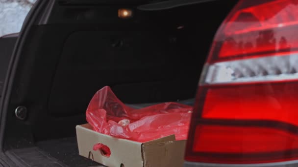 Arbetaren lägger lådan med fryst kött i bagageluckan. 4k-video — Stockvideo