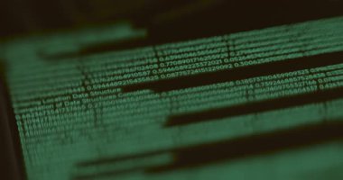 Yeşil kod ve veri satırları.