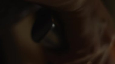 Yengeç kesme, makro görüş, sanatsal çekim..