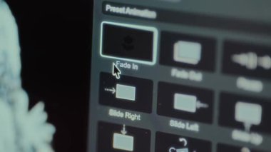 Bir video düzenleme yazılımı içinde Canlandırma Ayarları Seçenekleri.
