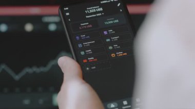 Kişi, harcamalar ve gelir istatistiklerini grafiksel gösterimle görselleştirir ve sonunda bakiyeyi gösterir.