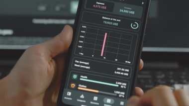 Aylık gider, gelir ve dengeyi özetleyen mali izleme başvurusu.