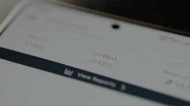 Kişisel finans yönetimi uygulamasında kredi durumu sıfır.