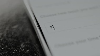 Etkin Para Birimi Giriş Alanı 1 dolar işareti ile, parasal bir miktar giriyor.