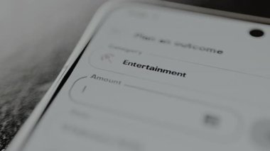 Eğlence kategorisine bir miktar para ayırarak bir sonuç planlayın.