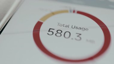 Pasta grafiği günde 580.3 MB İnternet trafiği kullanıldığını gösteriyor.