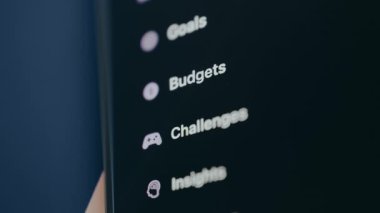 Bir mobil uygulamadan fonksiyonel kategorilere menü arayüzü, kullanıcı Bütçe kategorisini seçer.