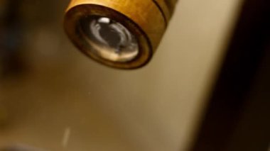 Şef sotelenmiş mantarları tuz ve taze öğütülmüş karabiberle tatlandırıyor..