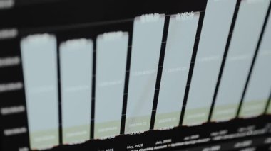 Aylık aralıklarla dağıtılan para miktarını temsil eden mali iş çizelgesi.