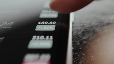 Cep telefonu ekranına ilişkin mali veriler, varlıkların mevcut fiyatı ve yüzde değişiklikleri.