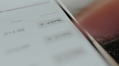 Tüccar mal varlıklarının bir listesi için mali özeti görüyor.