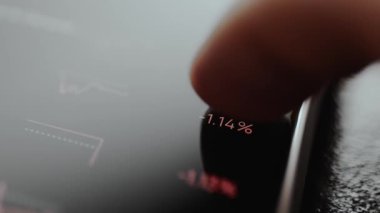 Ticari başvuruda varlık fiyatlarındaki yüzde değişimi.