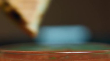 Salsa sosuna batırılmış sebzeli quesadilla 'ya yakın..