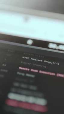 Siber saldırı sınıflarının bir listesi ve buna karşılık gelen olay sayısı, etik hackleme kavramı..