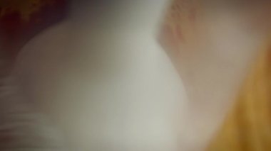 Kavrulmuş pancar parçaları pürüzsüz bir püre haline getiriliyor..