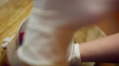 Kavrulmuş pancar parçaları pürüzsüz pancar püresine dönüştürülüyor..