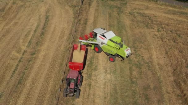 Betakarító Egy Traktor Vödrébe Üríti Termését Kalibrálás Hatás Nélküli Videó — Stock videók