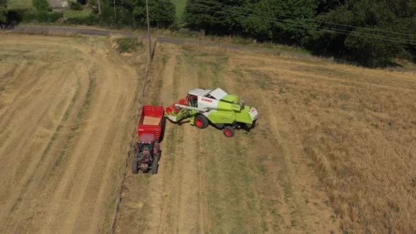Harvester Mengosongkan Tanamannya Dalam Ember Traktor Video Tanpa Kalibrasi Atau — Stok Video